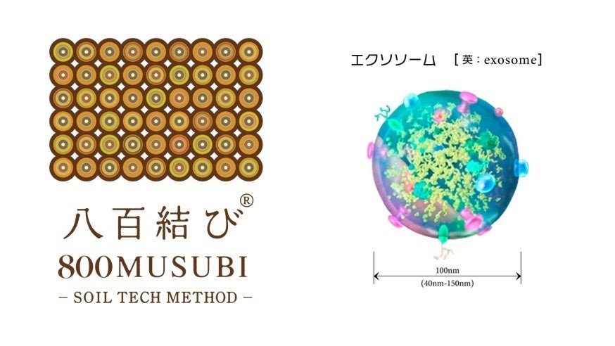 夏ネイルはトロピカルな縦グラデーションで♡ハンド＆フット別に紹介！