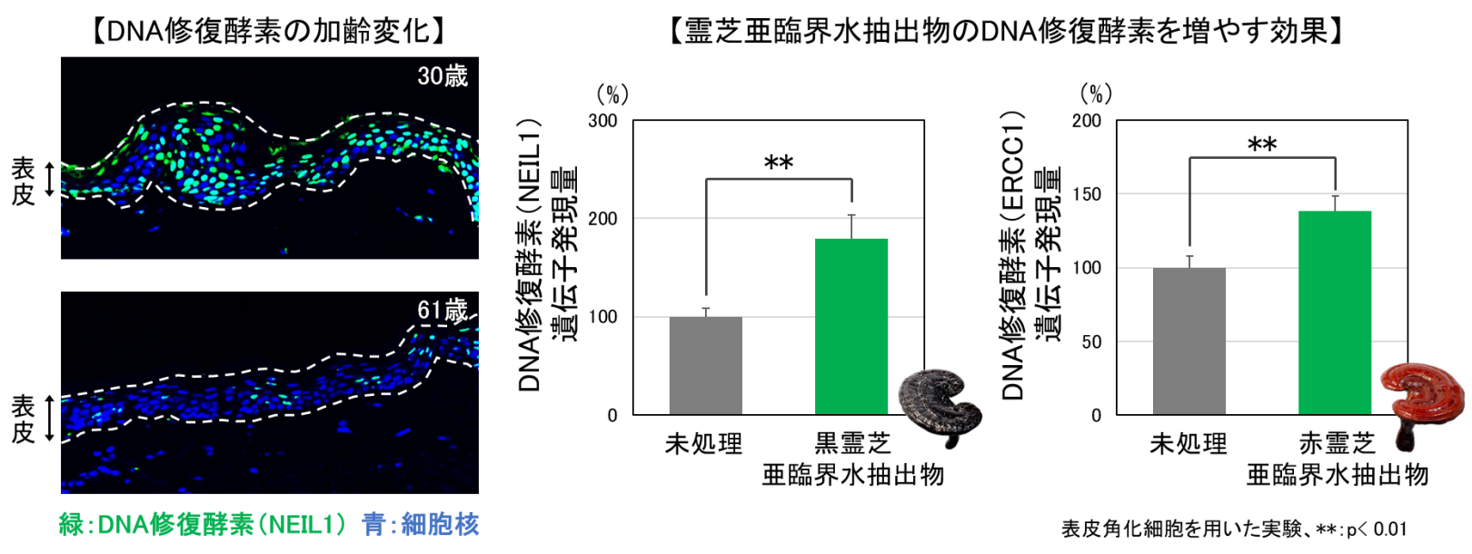 記事タイトル