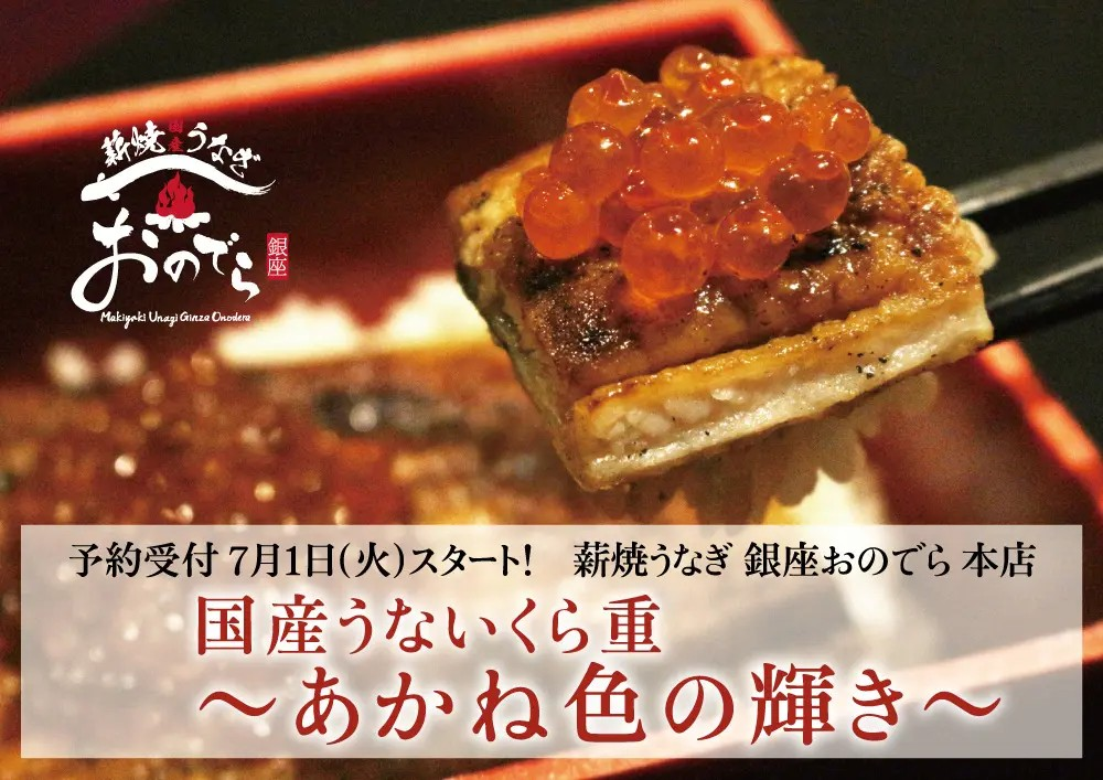 「日々のケアで変えられる！」オイリー肌の原因と対策とは？