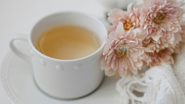 美容　健康　ウェルネス　美容メディアシンデレラフィット