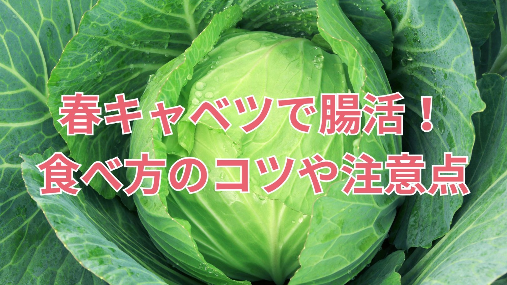「日々のケアで変えられる！」オイリー肌の原因と対策とは？