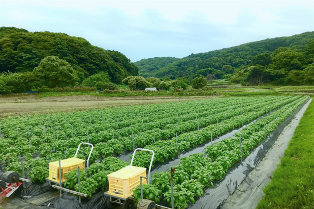 記事タイトル