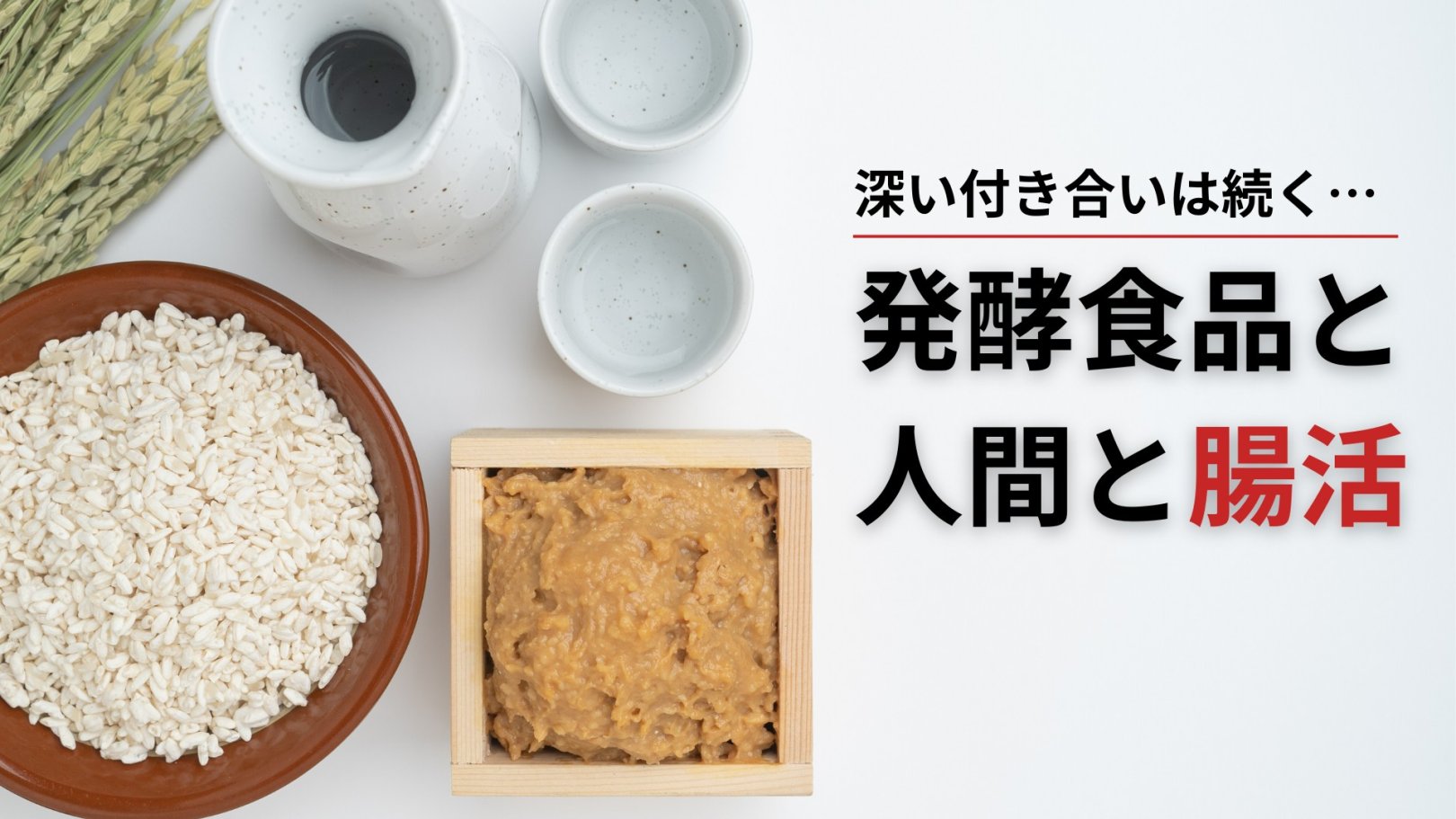 「日々のケアで変えられる！」オイリー肌の原因と対策とは？