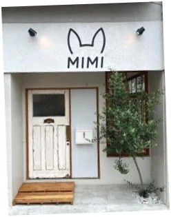 「日々のケアで変えられる！」オイリー肌の原因と対策とは？