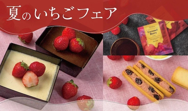 「日々のケアで変えられる！」オイリー肌の原因と対策とは？