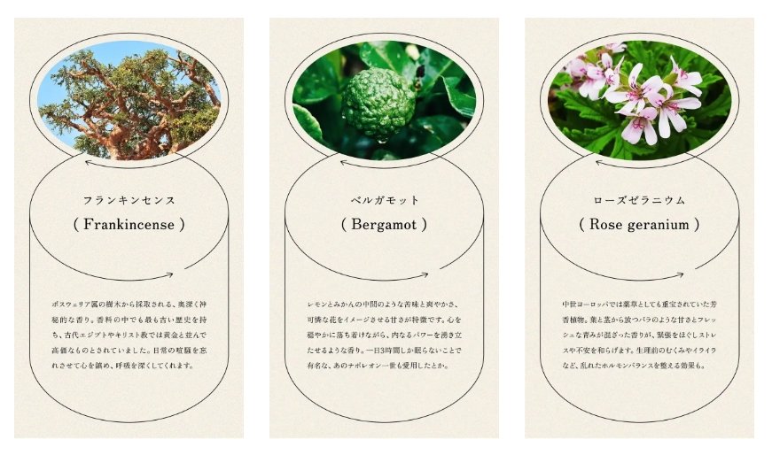 「日々のケアで変えられる！」オイリー肌の原因と対策とは？